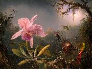 Martin Johnson Heade Cattleya Orchid and Three Hummingbirds oil painting artist